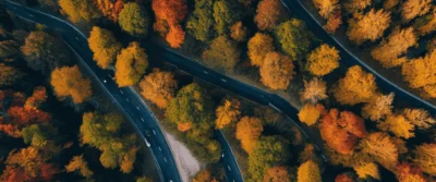 Démoussage de toiture par drone : la révolution du nettoyage aérien