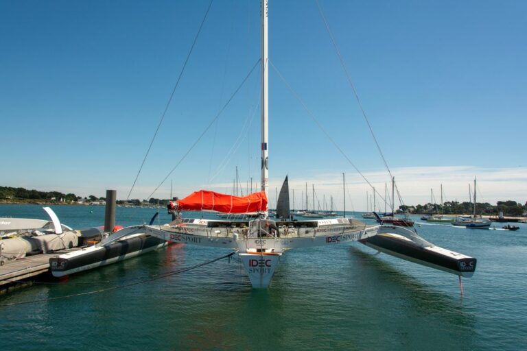 Route du Rhum 2026 : la cartographie en direct pour suivre les 115 skippers vers la Guadeloupe